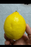 京鲜生 安岳黄柠檬 8粒 单果95-120g 生鲜水果 实拍图