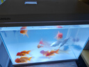 森森（SUNSUN）超白鱼缸一体缸自循环客厅桌面小型家用水族箱HEJ-380 实拍图
