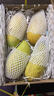 甜萌果蔬金煌芒芒果【多地次日达】当季现摘海南大芒果新鲜水果青芒果整箱 5斤精选果【单果300g+】净4.5斤 实拍图
