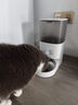 霍曼（Homerun）Real智能自动喂食器猫粮定时猫猫咪自动投食机（不锈钢碗） 实拍图