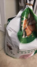 信元发育宝（SINGEN）美食森林成猫粮8kg 英短美短加菲通用型全营养宠物主粮16斤 DC30 实拍图
