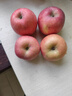 山东红富士苹果脆甜多汁新鲜当季整箱水果丑苹果生鲜礼盒批发生鲜 2斤75mm起(普通箱) 实拍图
