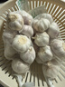 大蒜头出口品质网兜紫蒜蔬菜调料新鲜大果烧烤火锅食材 【精品网兜装】2斤装 925g 实拍图