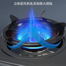 太太乐（TTL）煤气灶双灶台式燃气灶农村厨电家用出租房厨房电器天然气液化气煤气罐老式煤气炉灶具炉灶 台式标准款(不锈钢款+熄火保护+送扣管) 液化气 实拍图
