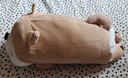 名创优品（MINISO）趴姿系大号趣味狗狗公仔玩偶玩具抱枕靠枕娃娃生日礼物女 卡其色 实拍图
