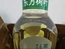 农夫山泉东方树叶茉莉花茶900ml*12瓶无糖茶饮料0糖0脂0卡整箱装热门商品 实拍图
