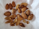 老街口坚果炒货薄壳奶油巴旦木250g大杏仁扁桃仁零食干果年货大颗粒新货 【薄壳大颗粒】250g*1袋 实拍图