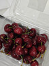 京鲜生 智利进口车厘子巨无霸3J级450g 果径约30-32mm 新鲜水果 实拍图