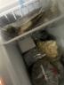 星星（XINGX）200L单温家用小型冰柜 大容量减霜保鲜净味节能一级能效冰箱冷藏冷冻两用冷柜BD/BC-200QJ国家补贴 实拍图