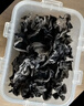十月稻田 东北黑木耳 500g 干木耳 黑龙江东宁特产 肉厚无根 火锅煲汤炒菜 实拍图