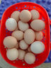 谷物鲜鸡蛋 农户散养新鲜鸡蛋 单枚40g±5 10枚（40克/枚） 实拍图