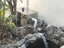 全福鲤 户外锦鲤鱼池过滤器大型水循环净化系统304不锈钢锦鲤池过滤设备 QL-30套餐适合0-10吨水包含水泵水管 实拍图