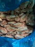 仁豪水产 熟冻北极甜虾 净重1斤 60-85只/袋 即食冰虾 解冻即食 家庭聚餐 实拍图