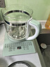 半球（PESKOE）养生壶烧水壶热水壶恒温壶煮茶壶泡茶壶一体玻璃全自动小家用多功能办公室大容量1.8L绿色 青苹果绿 1.8L 半球养生壶+蛋架+滤网 实拍图