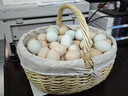 尤克达蒂（yookdd） 柳藤编野餐篮子户外购物篮编织手提篮鸡蛋篮买菜收纳筐水果花篮 柳编小雏菊野餐篮【大号】 实拍图