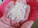 十月稻田 2025年新米 长粒香大米 20斤（东北大米 香米 10公斤） 实拍图