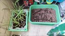 漫生活56L营养土通用型 花土有机土进口泥炭土种菜土多肉兰花种植土壤 实拍图