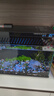 米家（MIJIA）小米米家智能生态鱼缸还原自然生态补仓一次三月无忧出差旅行必备 实拍图