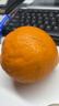 京鲜生 四川爱媛38号果冻橙 净重5斤 单果130g起 生鲜水果柑橘年货礼盒 实拍图
