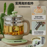 小熊（Bear）养生壶烧水壶恒温煮茶壶多档保温烧水炖煮壶一体多功能电热水壶花茶壶办公室玻璃烧水养生壶0胶水 YSH-B18T1【配实用滤网+蛋架】 1.5L 绿色 实拍图