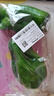 【微甜】青椒约400g 实拍图