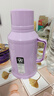 新款马卡龙热水瓶车载暖壶小型保温瓶客厅家用宿舍带盖暖水瓶茶瓶 紫色 1.6L 实拍图