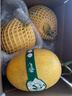 京鲜生 天山一号 黄金哈密瓜 2粒装 单果2.4斤起  生鲜水果年货礼盒 实拍图