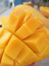 甜萌果蔬金煌芒芒果【多地次日达】当季现摘海南大芒果新鲜水果青芒果整箱 9斤精选装【单果300g+】净8斤 实拍图