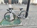 喜德盛公路自行车25款Rc200成人车14速变速车 白灰700C*480MM 实拍图