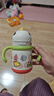 babycare儿童保温杯婴儿宝宝学饮杯吸管水杯水壶不锈钢300ml-新旧款混发 实拍图