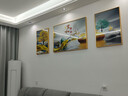 诗六艺家饰客厅装饰画北欧现代简约沙发背景墙挂画三联画大气轻奢壁画晶瓷画 家和富贵A（铝合金外框） 晶瓷画左右50*70+中间100*70亮面 实拍图