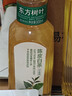 农夫山泉【新口味】东方树叶陈皮白茶500ml*15瓶无糖茶饮料0糖0脂0卡整箱 实拍图