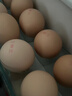 京鲜生 无抗保洁鲜鸡蛋30枚/盒 健康轻食 礼盒送礼 1.5kg/盒 源头直发 实拍图