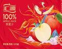 汇源100%苹果汁浓缩果汁饮料礼盒装果蔬汁1L*5盒整箱节日送礼年货节 实拍图