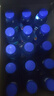 脉动三口味青柠桃子雪柚橘子600ML*15瓶维生素运动功能饮料宋雨琦同款 实拍图