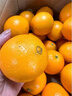 京鲜生 湖北秭归纽荷尔脐橙8斤 单果150g应季水果 源头直发包邮 实拍图