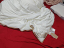 水星家纺蚕丝被100%桑蚕丝被子春秋被双人空调被芯被褥约4.4斤200×230cm 实拍图
