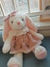 威尔通（WELTSTON）毛绒玩具布娃娃抱枕玩偶摆件儿童生日新年礼物礼品女垂耳兔子公仔 实拍图