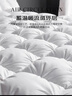 无印良品100%白鹅羽毛绒丝被子冬被约6.6斤【填充2000g】220*240cm扭花白 实拍图