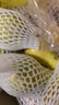京鲜生  荷兰啤梨 微催熟净重3斤装  生鲜水果  源头直发 实拍图
