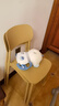 全品屋餐椅凳子塑料椅子办公椅靠背休闲椅书桌椅学习椅化【两把装】卡其 实拍图