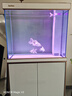 森森（SUNSUN）大型鱼缸底过滤水族箱客厅家用落地玻璃生态金鱼缸 【实时温显+灯控】珍珠白 0.8米长35cm宽 实拍图