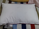 水星家纺枕头枕芯酒店枕头护颈枕头芯家用单个纯棉抗菌可水洗中枕48x74cm 实拍图