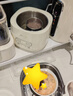 小熊（Bear）煮蛋器 蒸蛋器 自动断电小型迷你 0涂层不锈钢轻食机Pro蒸煮鸡蛋电蒸锅煮锅一体机神器ZDQ-F12G3 实拍图