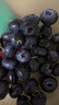 京地达云南蓝莓净含量115g*2 单果18mm+京东自营新鲜水果 源头直发包邮 实拍图