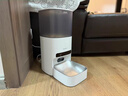 霍曼（Homerun）AI智能宠物自动喂食器视频版 猫猫咪喂食定时定量摄像头可视64G卡 实拍图