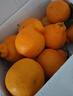 生活＆好管家 四川春见耙耙柑爆浆大果新鲜水果礼盒应季橘子现摘柑橘子桔子 8.5-9斤【性价比高-全家爽吃】净重8斤 果径70-80mm【中果】 实拍图
