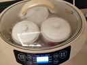 天际（TONZE）电炖锅 隔水炖锅 燕窝电炖盅 煲汤锅炖汤锅 婴儿辅食煮粥锅 养生炖盅 白瓷一锅4胆 GSD-223GC 2.2L 实拍图