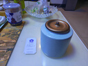 苏氏陶瓷茶叶罐经典亚光铁锈茶具配件（蓝） 实拍图