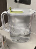 碧然德 【孙颖莎推荐】家用净水壶 滤水壶滤芯 MAXTRA+LE 去水垢专家版滤芯 设计师水壶绿色+专家版滤芯12枚 实拍图